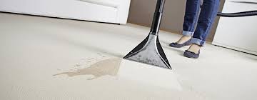 Er funktioniert auf teppichböden ebenso wie auf polstern (z.b. Teppich Polsterreiniger Karcher Online Shop