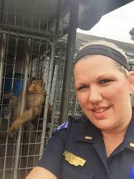 There was definitely some "monkey business" going