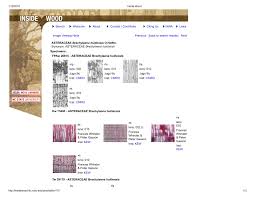 Image result for Brachylaena huillensis