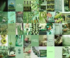 Unique aesthetic designs on hard and soft cases and covers for iphone 12, se, 11, iphone xs, iphone x, iphone 8, & more. Evergreen Aesthetic Green Wall Collage Kit Ready To Print Pack Of 50 Photos Digital File Green Aesthetic Dark Green Aesthetic Wall Collage