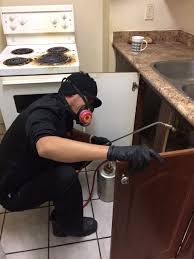Pest control services in dallas & houston, texas. Top 5 Reasons To Hire A Professional Exterminator