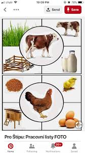Pin By Gul Catak On Terapia Shape Activities Preschool Farm Activities Preschool Learning Activities