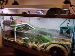Tank ideas, followed by 258 people on pinterest. Reeves Turtle Habitat 75 Gallon Turtle Tank Turtle Habitat Turtle Tank Setup