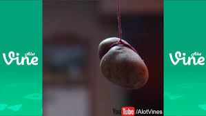 A potato flew around my room is a vine meme that became popular in late 2014. A Potato Flew Around My Room Before You Came Vine Compilation Vine Compilation Youtube Vines