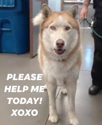 JUST BREAKS MY HEART! PLEASE SHARE!