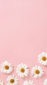 Informationen Uber Notitle Pin Sie Konnen Ganz Einfach Mein Profil Verwenden Um Versch In 2020 Pink Flowers Background Iphone Background Pink Pink Flowers Wallpaper