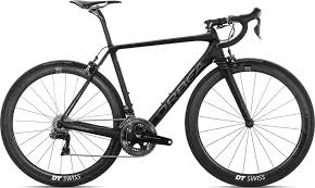 Image result for Orbea maculata
