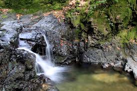 Jan 07, 2021 · uvas canyon county park welcom​e to uvas canyon county park. A Small Waterfall Uvas Canyon Park Santa Clara County California Mapio Net
