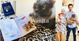 Jika dalam bentuk kad kecil, ia dipanggil kad pengenalan (kp). Kad Pengenalan Kucing Kesayangan Penting Untuk Mengesan Hak Pemilik Yang Sah Mingguan Wanita