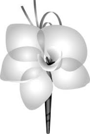 Robert (Bob) L. Skinner