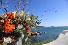 The 10 Best Beach Wedding Venues in Gualala, CA - WeddingWire