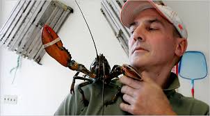 A Lobster Haul in Brooklyn