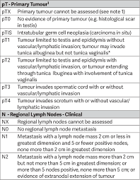 There is no actual tumor yet, although there are cancerous cells and some changes in the tissue. Table 2 From Eau Guidelines On Testicular Cancer Semantic Scholar