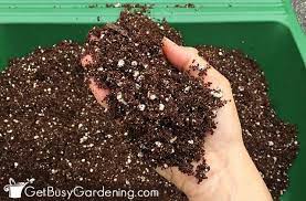 How To Make Potting Soil For Indoor Plants Potting Soil Repotting Plants Best Soil For Succulents