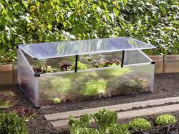 Frühbeete erlauben das anbauen von gemüse und pflanzen auch bei frischen temperaturen, ähnlich wie bei gewächshäusern. Fruhbeet Preisvergleich Die Besten Angebote Online Kaufen