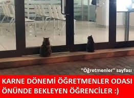 Karne Donemi Komik Galeri