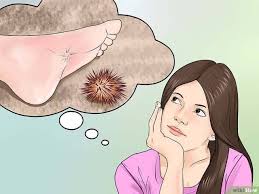 Maybe you would like to learn more about one of these? ØµÙŠØ¯ Ø§Ù„Ø£Ø³Ù…Ø§Ùƒ Ù„Ù„Ù…Ø­ØªØ±ÙÙŠÙ† ÙƒÙŠÙÙŠØ© Ø¹Ù„Ø§Ø¬ Ù„Ø¯ØºØ© Ø§Ø´ÙˆØ§Ùƒ Ù‚Ù†ÙØ° Ø§Ù„Ø¨Ø­Ø± ÙŠØ¹ØªØ¨Ø± Ø§Ù„Ù‚Ù†ÙØ° Ø§Ù„Ø¨Ø­Ø±ÙŠ Ø§Ù„Ø±ÙŠØªØ³Ø§ Ù…Ù† Ø§Ù„Ø­ÙŠÙˆØ§Ù†Ø§Øª Ø§Ù„Ø®Ø·Ø±Ø© Ø§Ù„ØªÙŠ Ù‚Ø¯ ØªØªØ³Ø¨Ø¨ ÙÙŠ Ø§Ù„Ø¢Ù„Ø§Ù… Ø¨Ø§Ù„ØºØ© ÙÙŠ Ø¬Ø³Ù… Ø§Ù„Ø¥Ù†Ø³Ø§Ù† Ø±ØºÙ… Ø£Ù†Ù‡ Ù„Ø§ ÙŠØªØ³Ø¨Ø¨ ÙÙŠ