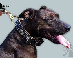 Nappa Padded Leather Dog Collar With Attractive Braids For Large Dog Breeds Model Oldmill C43 Goruntuler Ile