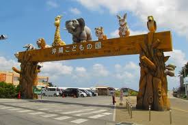 Für den wahlkreis okinawa 1 mit insbesondere der stadt naha der kommunist seiken akamine, für den wahlkreis 2 mit den städten urasoe und ginowan der sozialdemokrat kantoku teruya, für den wahlkreis 3 im norden mit den städten nago, okinawa und uruma tomohiro yara , der im april 2019 noch als liberaler die nachwahl für tamakis sitz gewann, Okinawa Zoo Und Museum Eintrittskarte 2021 Tiefpreisgarantie