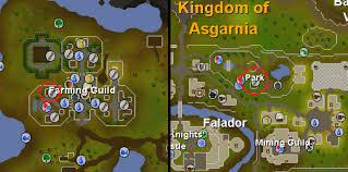 You'll find them on the gnome stronghold, west of tree gnome village, north of brimhaven, east of catherby, on the meilyr clan, herblore habitat, and lleyta. Osrs Farming Training Guide From Level 1 To 99 Probemas