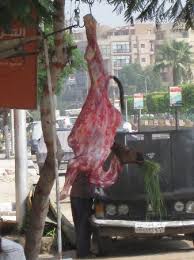 Explore the fascinating camel meat ranges and big deals. Camel Meat For Sale Picture Of Cairo Cairo Governorate Tripadvisor