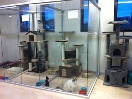 Repinned Abba Boarding Kennels Cattery Dandenong South Vic Dog Boarding Kennels Cattery Pet Hotel