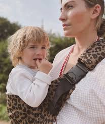 Hiking Baby Carrier