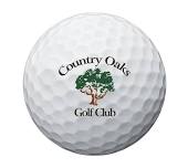 Alzheimer's Awareness 9 Hole Scramble