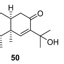 Image result for Artabotrys likimensis