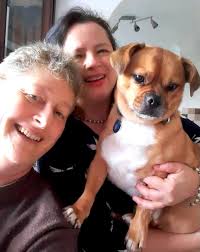 Hello do you cover Rayleigh i need a cat and dog groomed Thank you