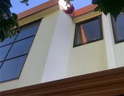 Although you can easily obtain household pesticides, this does not mean that they are harmless. Frog Washing Exterior House Washing Carpet Mattress Cleaning Pest Control Auto Valet In Tauranga Rotorua Hamilton New Zealand