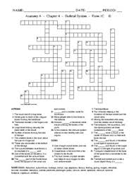 8:00 am to 8:00 pm est phone: Skeletal System Crossword Worksheets Teaching Resources Tpt