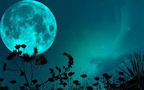 Tons of awesome moon and stars background to download for free. Night Sky Moon Shadows Grass Blade Stars Wallpaper 1920x1200 70567 Wallpaperup