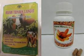 Buah tunjuk langit, adalah raja segala penawar. Hsa Issues Advisory On Mahogany Seeds Or Sky Fruit After 7 Cases Of Liver Injury Reported Health News Top Stories The Straits Times