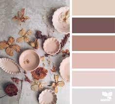 Image Result For Seeds Color Palette Bois De Rose Beige Color Palette Color Schemes Color Pallets