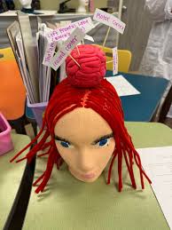 Our AP Psychology students participated in an Iconic Brain Project Gallery  Walk where they showcased the fascinating inner workings of iconic brains  from all walks of life. Thank you, Mrs. Bailey for