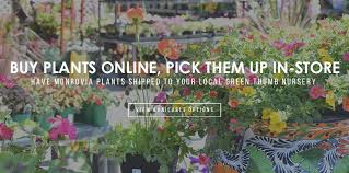 Maybe you would like to learn more about one of these? Green Thumb Nursery Southern California Garden Centers