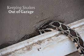 This article contains affiliate links. How To Keep Snakes Out Of Your Garage Action Garage Door