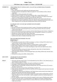 health analyst resume samples velvet jobs