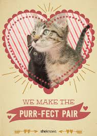 Step 1 birthday card for a grumpy cat: Cute Cat Valentines Day Card Novocom Top