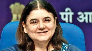 Indians love cows but don't understand this intelligent animal: Maneka Gandhi Launches Attack At Mamata Banerjee Govt