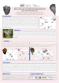 Pdf Genetic Structure Of Two Mollusk Species Pinna Rudis