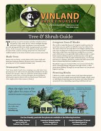 A beautiful small ornamental tree for small gardens. Tree Shrub Guide By Stony Point Graphics Issuu