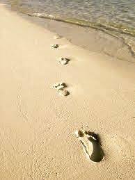 Das muster ist im lila anleitungsheft und passte für mich am besten zur wolle, die irgendwie hier sieht man die spuren im sand und vor allem auch die farbe der wolle noch mal gut. Beerdigung Birgit Kotter