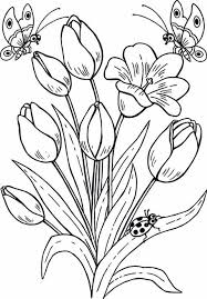 Cara mewarnai gambar dengan crayon jika diperhatikan sangat mudah. Gambar Mewarnai Bunga Tulip Untuk Anak