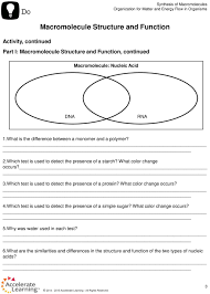 macromolecule structure and function ppt download