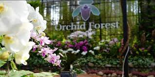 Taman kaliurang merupakan sebuah tempat rekreasi yang berada di dusun kaliurang, kelurahan hargo binangun, kec. Harga Tiket Masuk Orchid Forest Lembang 2020 Wahana Fasilitas