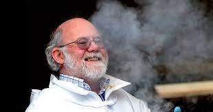 The secret life of a Hull beekeeper who now has an important job working  for the government