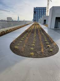 Dat meldt de brandweer van zone. Primeur Looppiste Op Het Dak Van Havn Buurt Aan De Stroom