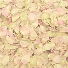 Pin On Freeze Dried Rose Petals